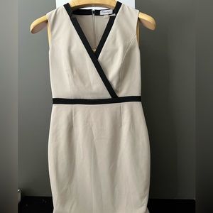 Calvin Klein Aline Dress